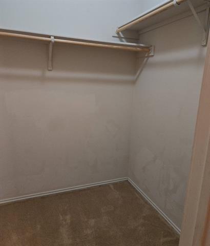 Building Photo - 5401 Soledad Dr