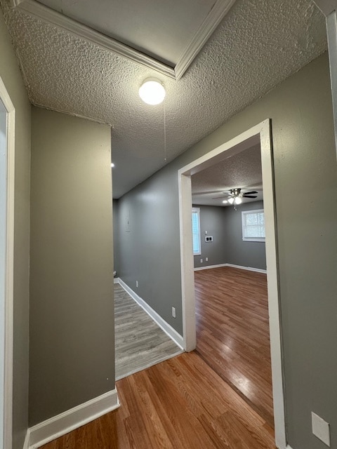 Building Photo - 204 Brisco St