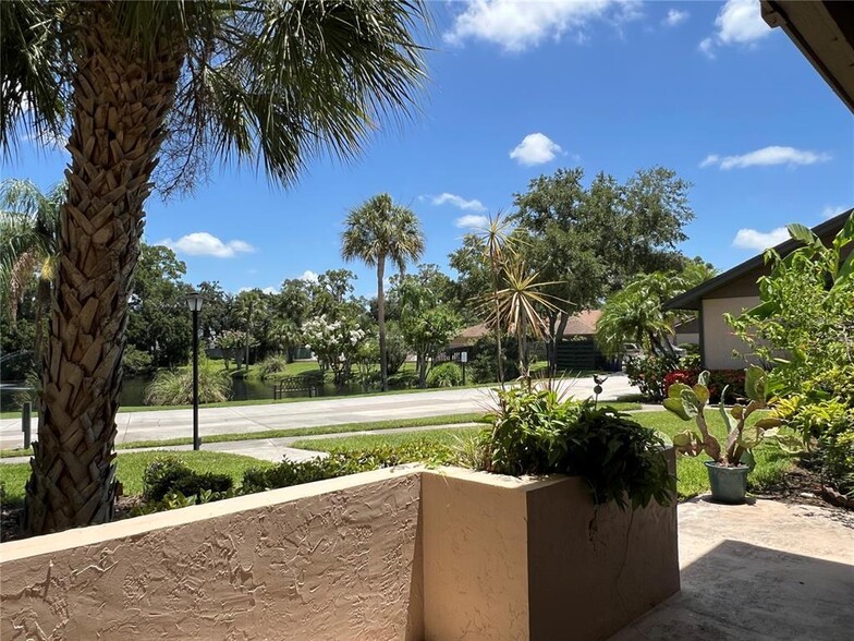 Patio View - 896 Sunridge Dr