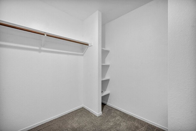 Building Photo - Country Living Single Story Home in Spanish Springs