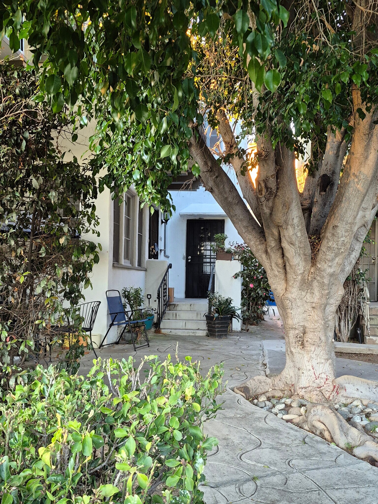 Common courtyard - 861 N Alexandria Ave