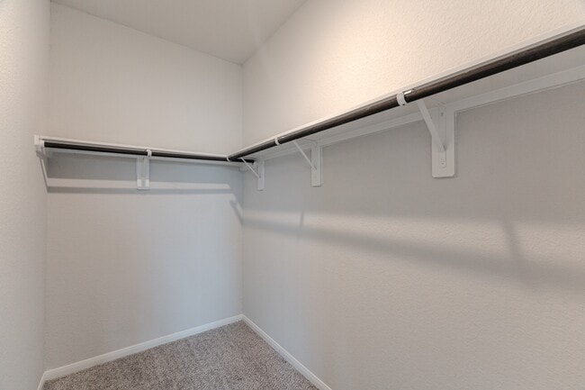 Building Photo - 100 Ashe Juniper Wy