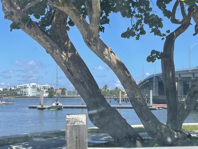 Building Photo - 531 C St