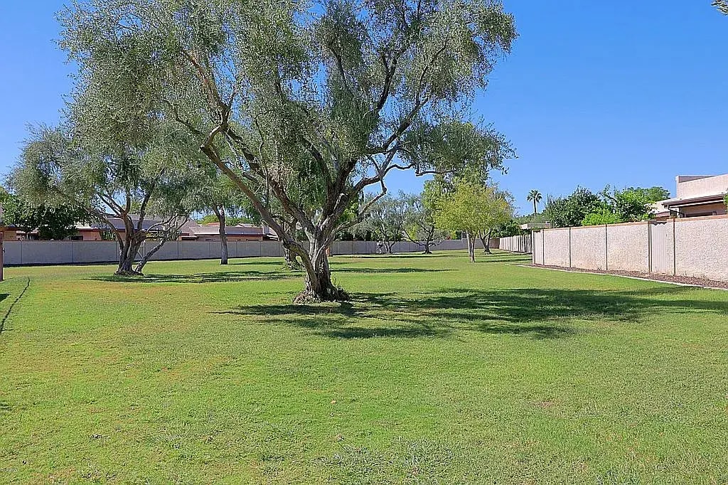 Common grounds - 9463 E Jenan Dr