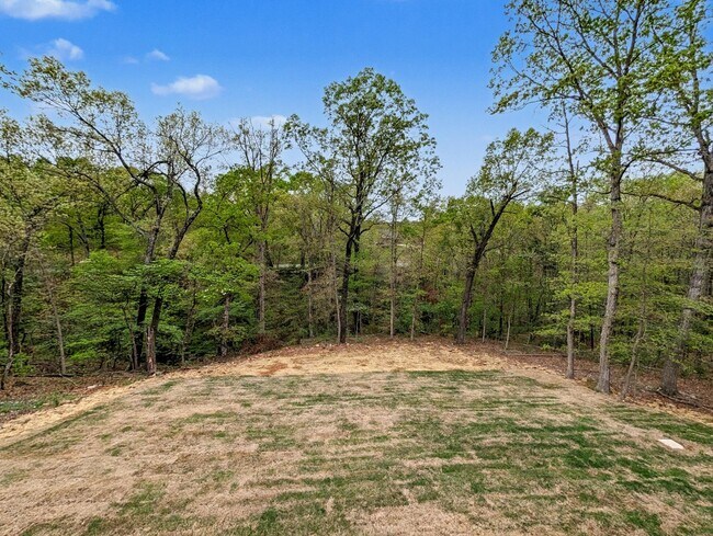 Building Photo - Fabulous New Construction Rental in Bella Vista Featuring a Rare 3-Car Garage