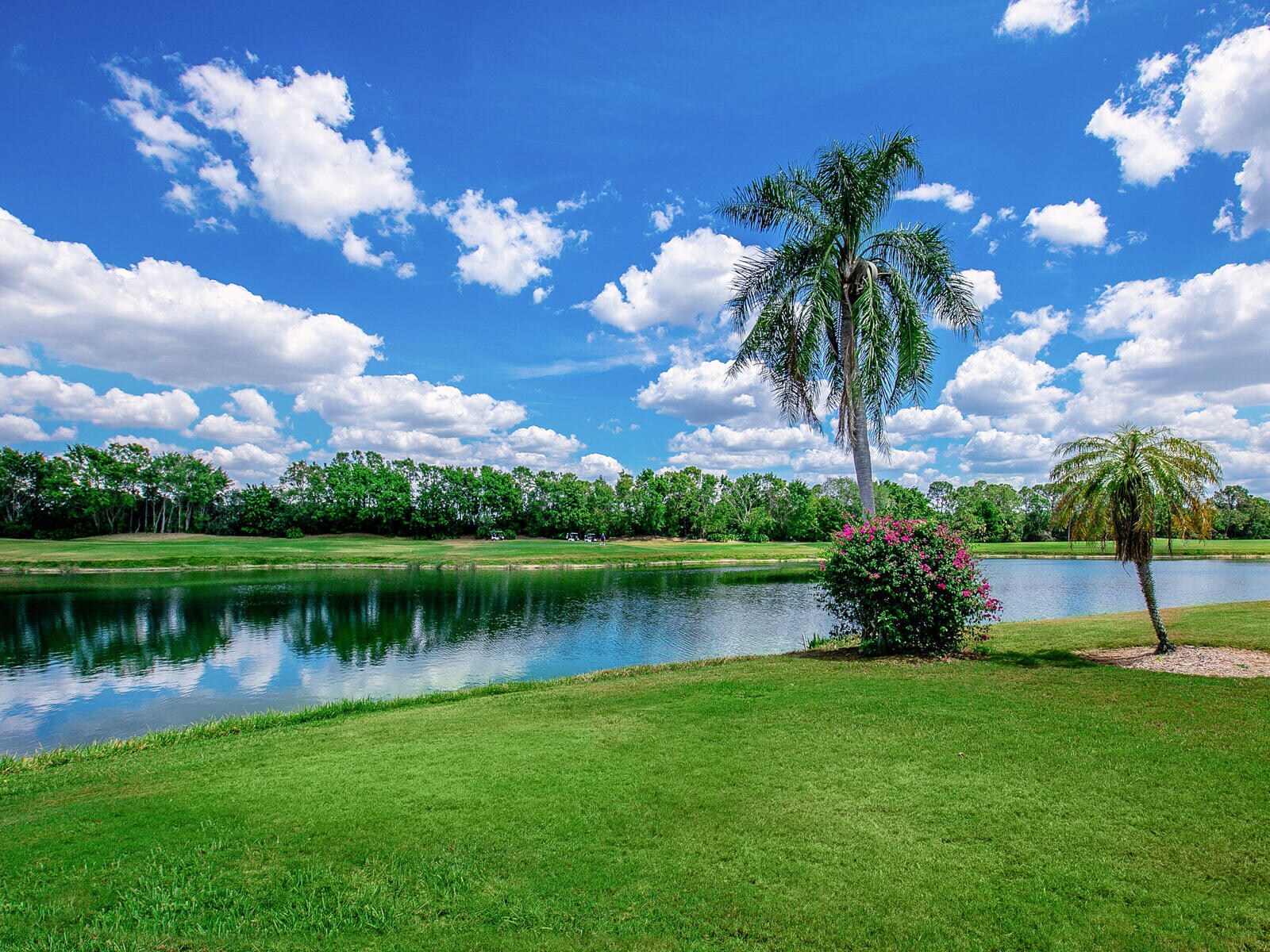 Building Photo - 7535 Ascot Ct