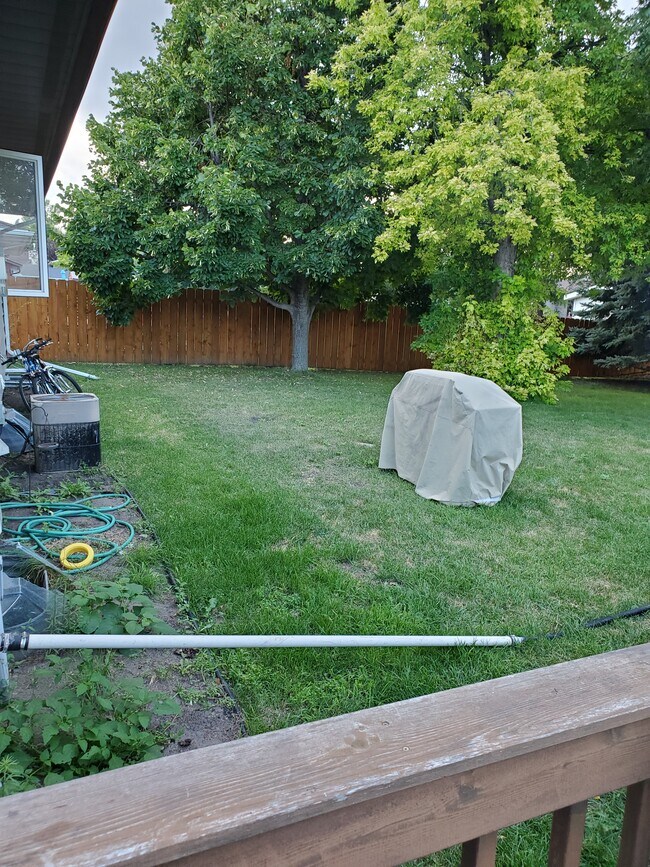 Backyard - 1320 35th Ave S