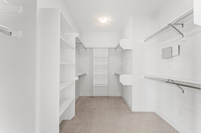 Building Photo - 2909 Gillespie St