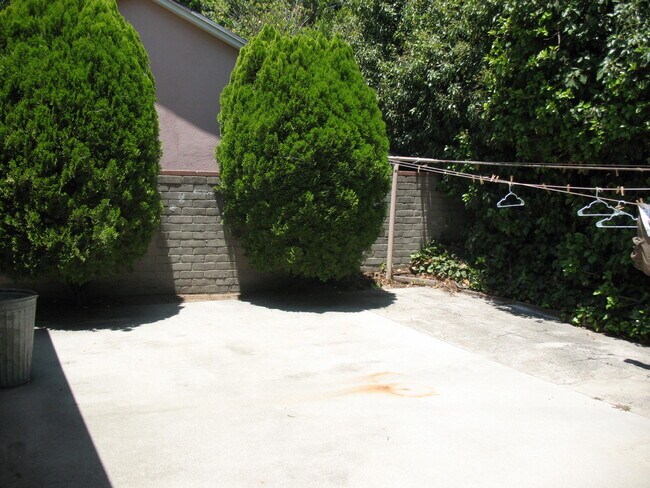 Clothesline Area - 3121 W Wyoming Ave