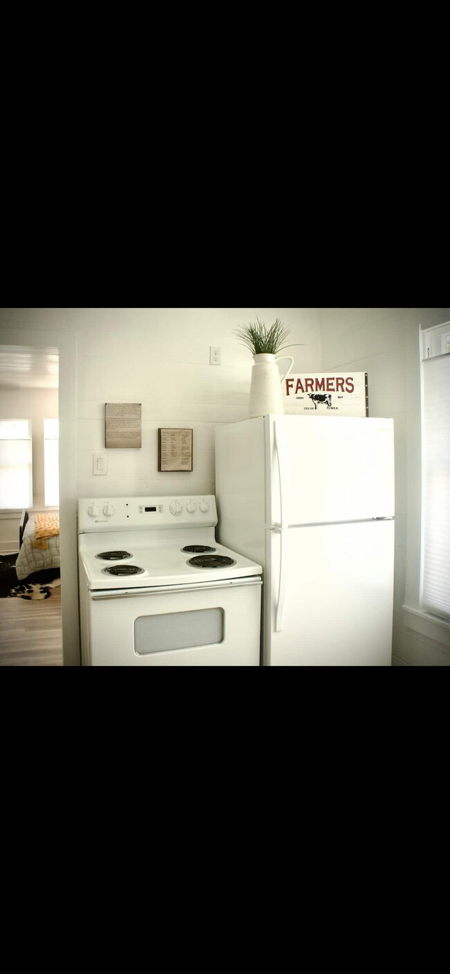 650 W Mill St 650 W Mill St New Braunfels TX 78130 Apartment Finder