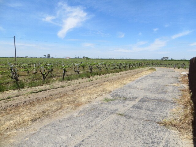 Building Photo - Country Home, 4BR+ Den/2BA, Blt 1960’s - L...