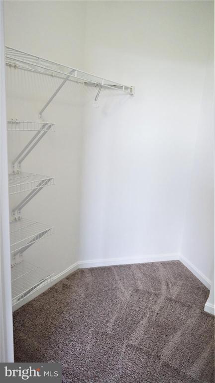 Building Photo - 12195 Abington Hall Pl