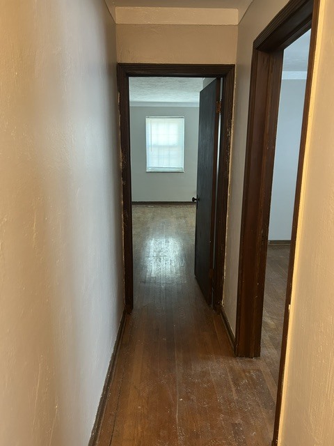 Building Photo - 1509 Ashland Ave