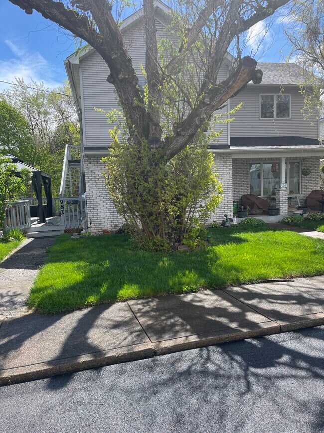 982 Wood St 982 Wood St Old PA 18518 Apartment Finder