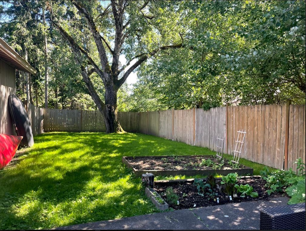 Backyard - 2527 Superior St