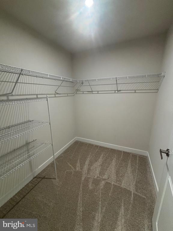 Building Photo - 4347 Southerby Dr