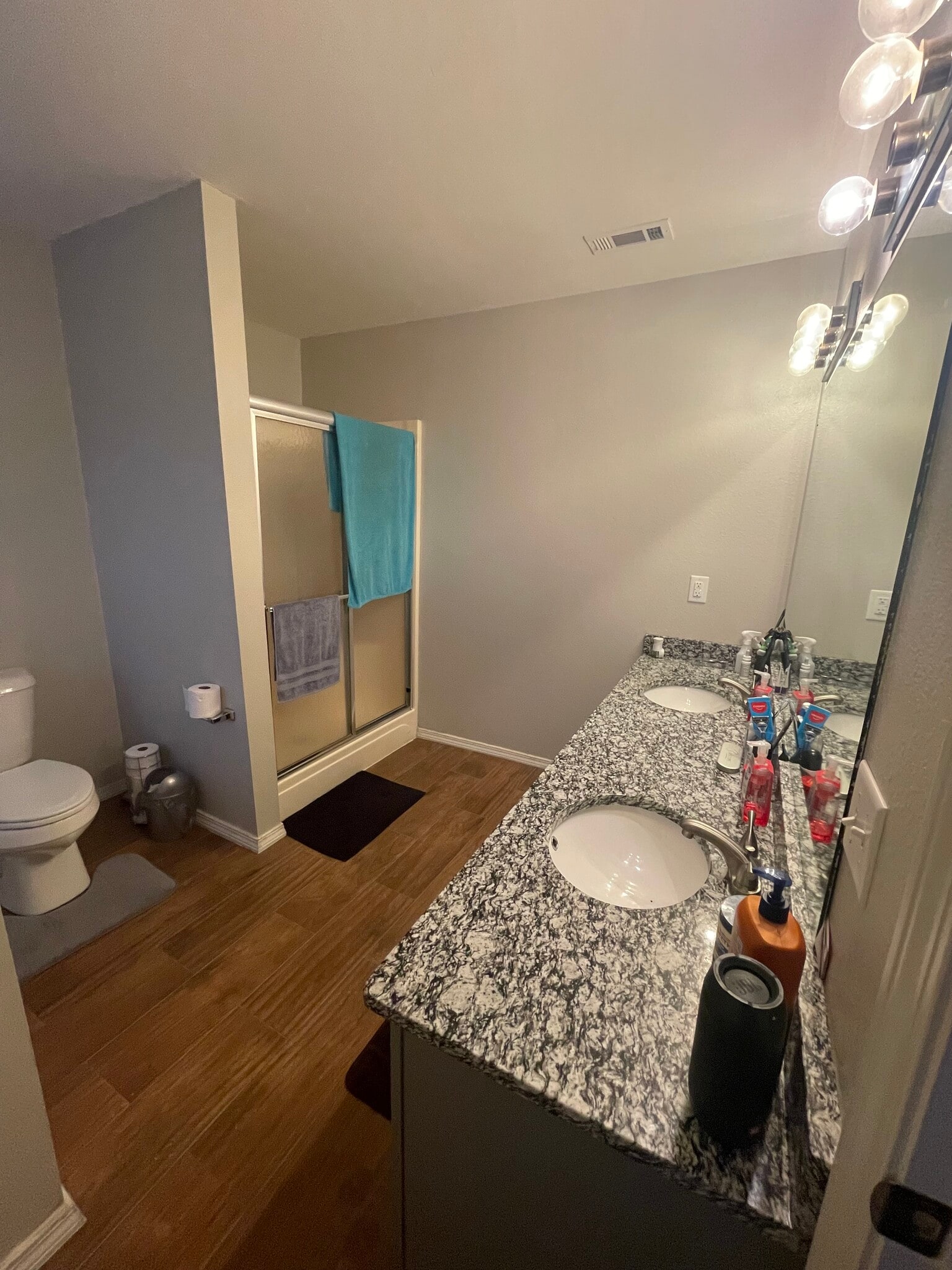 Master bathroom - 479 Robin Hood Ct