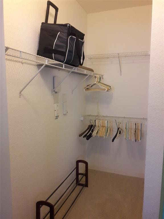 Building Photo - 1064 N Tamiami Trl