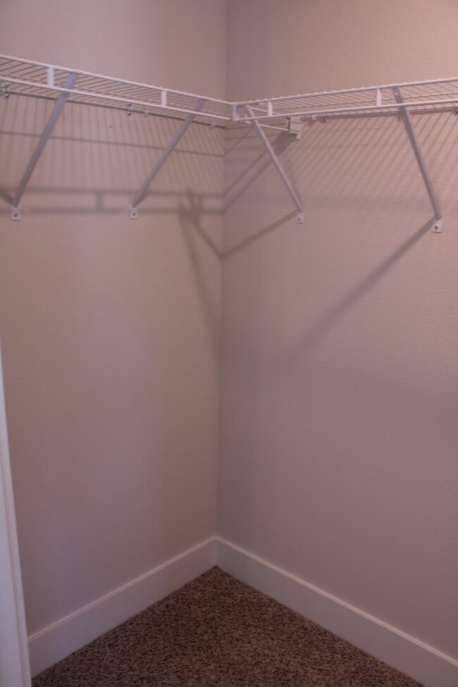 Building Photo - Beautiful New Townhome / Pet Friendly / Wi...