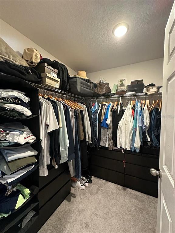 Building Photo - 1289 Wispy Cypress Dr