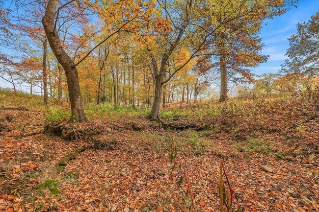 Building Photo - Possible Mini Farm in Bon Aqua