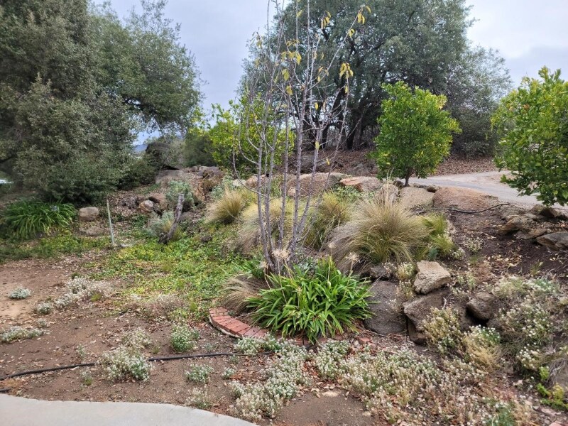 Building Photo - 4209 Alpine Blvd