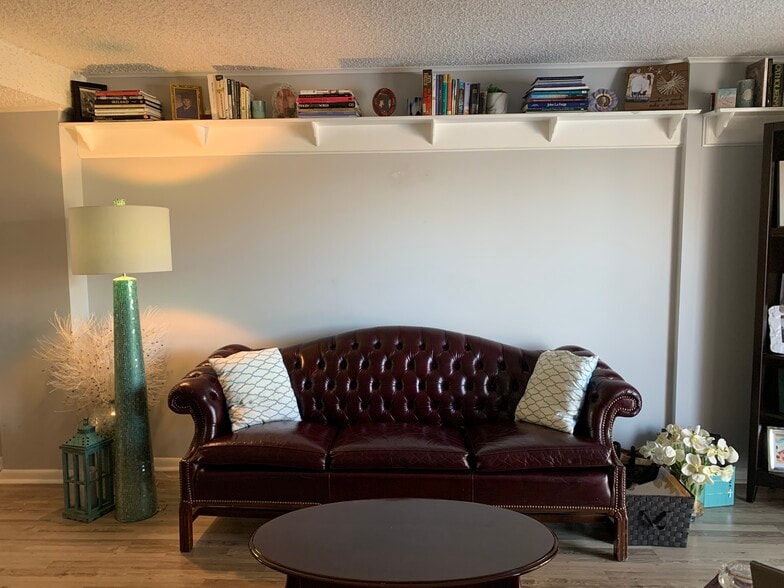 Living Room - 231 Canal Park Dr