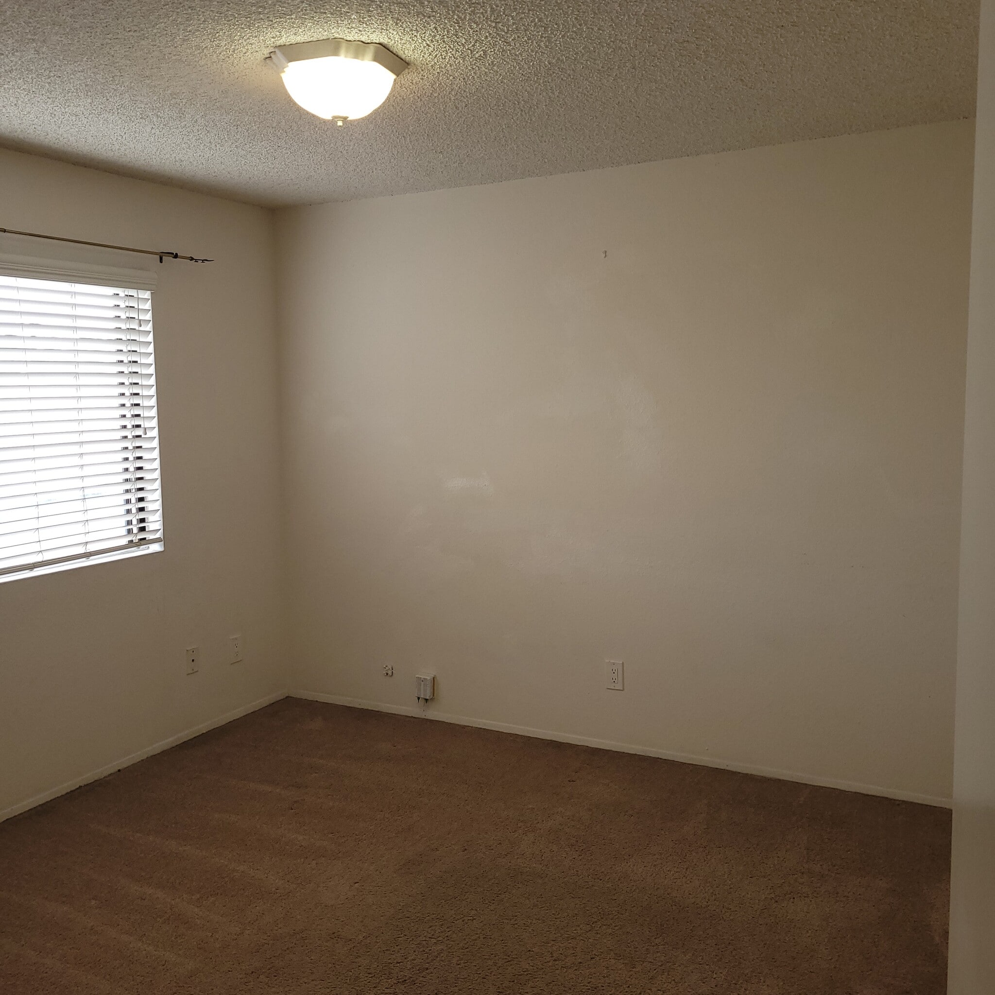 Room - 1236 Lincoln Ave
