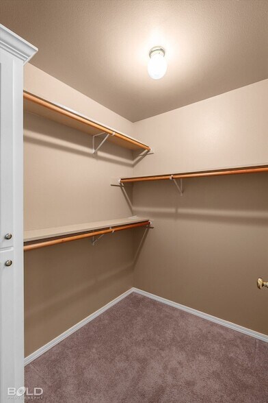 Building Photo - 406 Lavita Dr