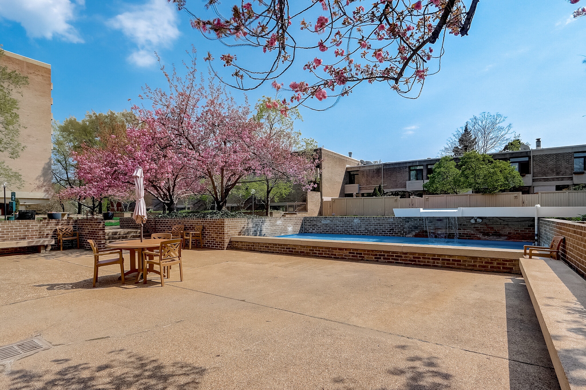 Gorgeous Garden Grounds - 240 M St SW