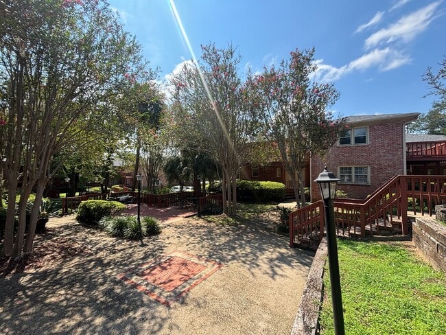 Building Photo - Beautiful 1/1 Just Minutes from Cascades Park!