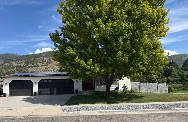 Building Photo - 695 S 1350 E