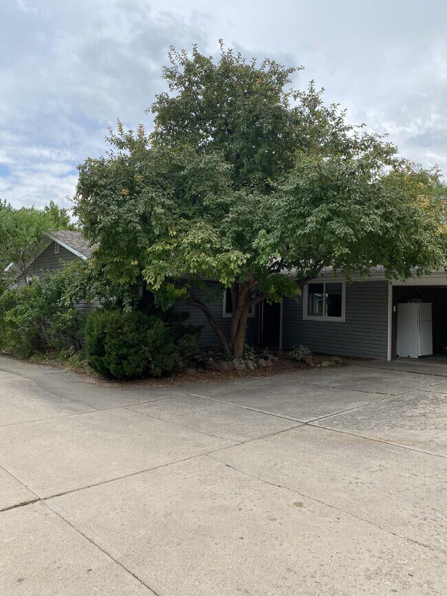 Building Photo - 4547 Beachcomber Ct