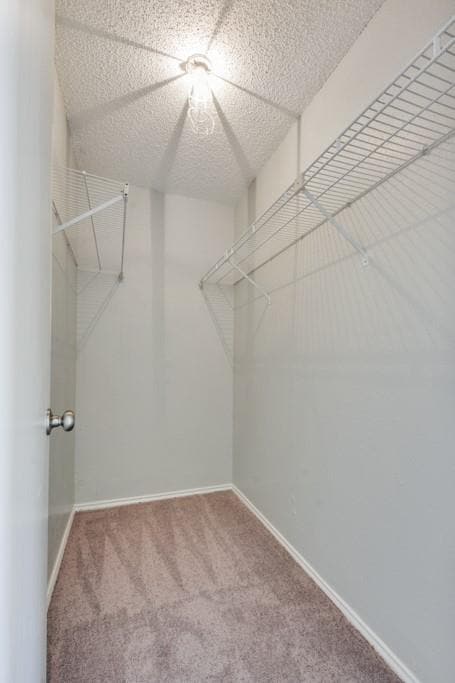 Building Photo - 9101 Japonica Ct