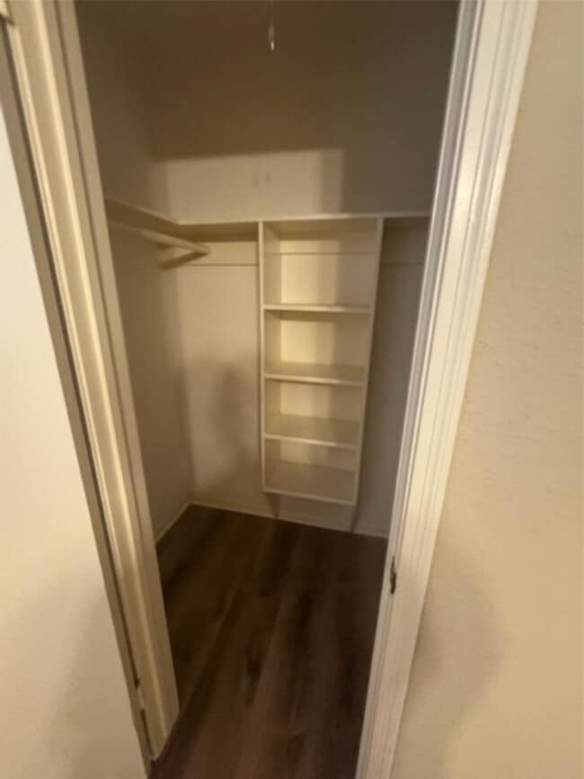 Building Photo - 1114 Manatee Ln