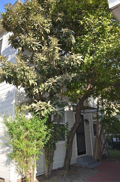 Building Photo - 2502 Saltus St