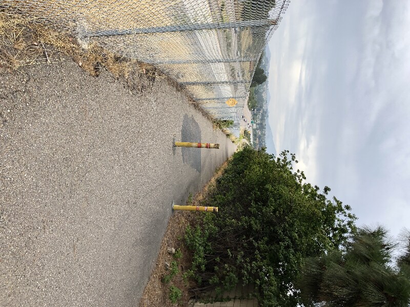 Building Photo - 10303 Azuaga St