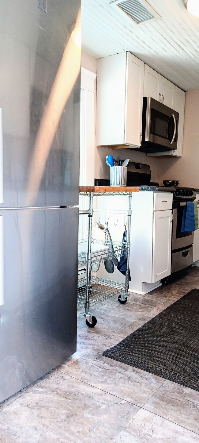 Kitchen, lots of light - 205 Douglas Avenue