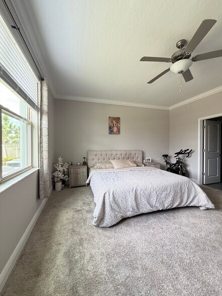 Building Photo - 9971 Campanula Ct