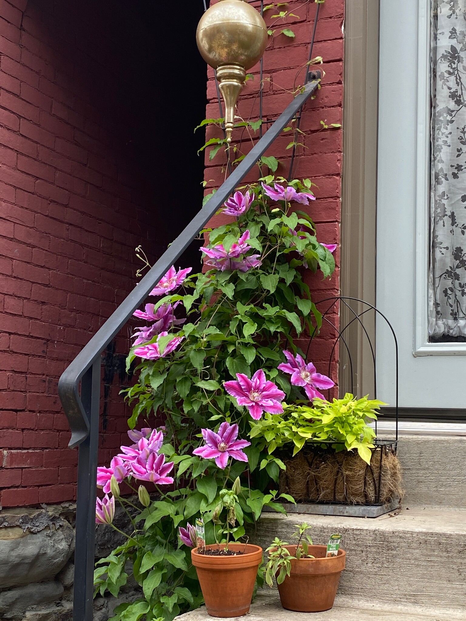 Back patio steps - 174 Cotton Way