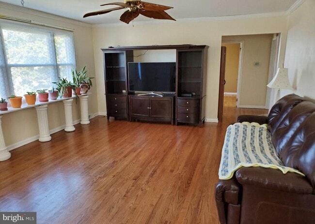 Building Photo - 4 Albertson Blvd