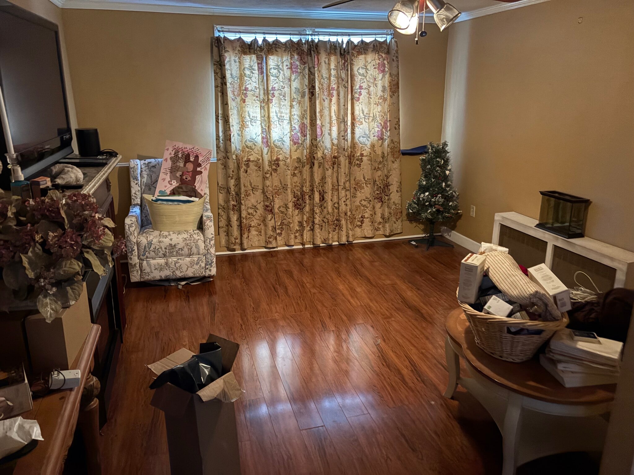 Living/ bedroom - 1101 Forest Dr