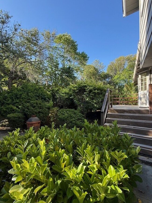 Building Photo - Beautiful 4 Bedroom 2.5 Bath Home in Montevideo Community