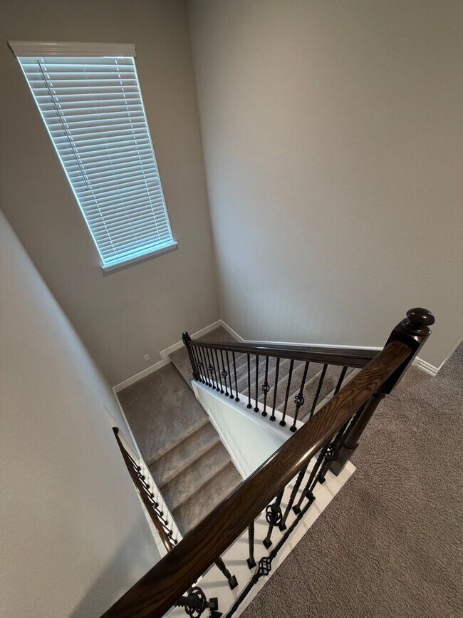 Building Photo - 2940 Bluets Dr