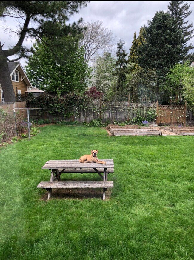 Building Photo - 4537 SE Mitchell St