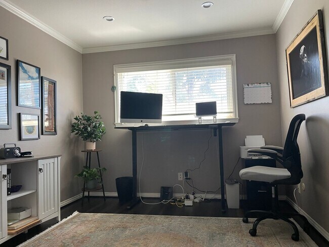 Building Photo - Spacious East Ventura 4 Bedroom 2 Bath Pool Home