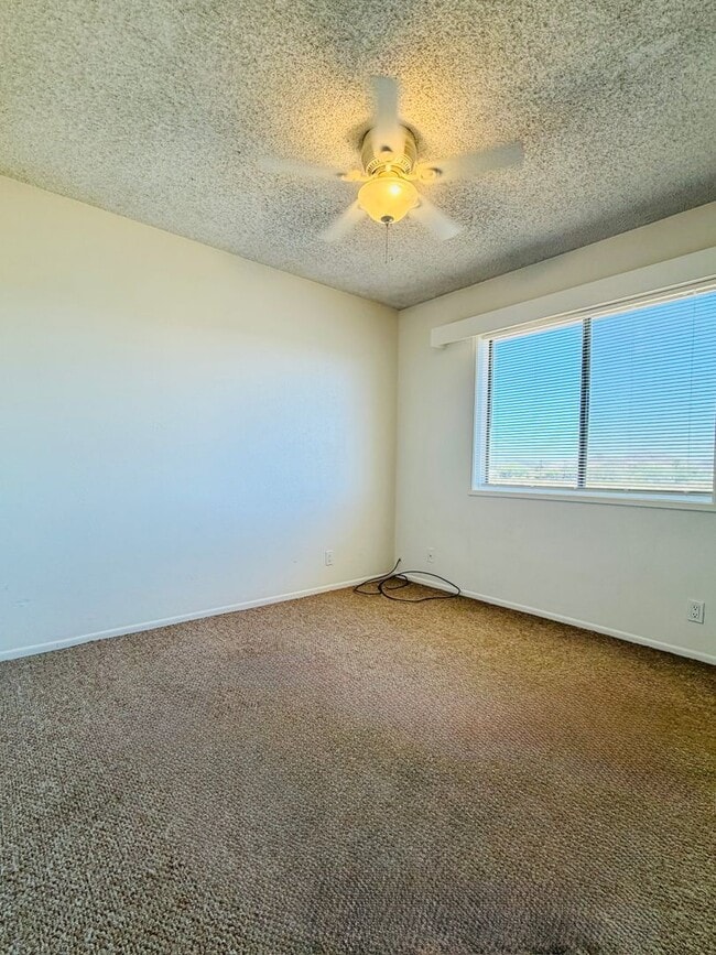 Building Photo - 1300 N El Prado St