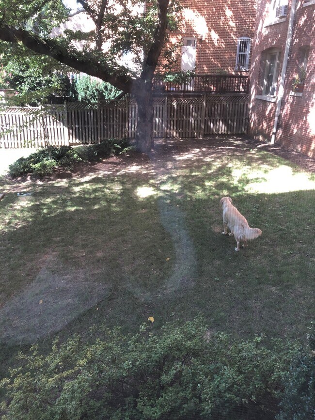 Building Photo - The View From Mt. Pleasant!