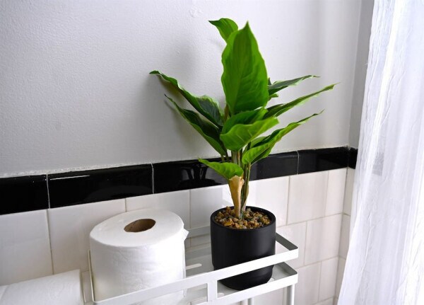 Building Photo - 1544 Oakridge Rd