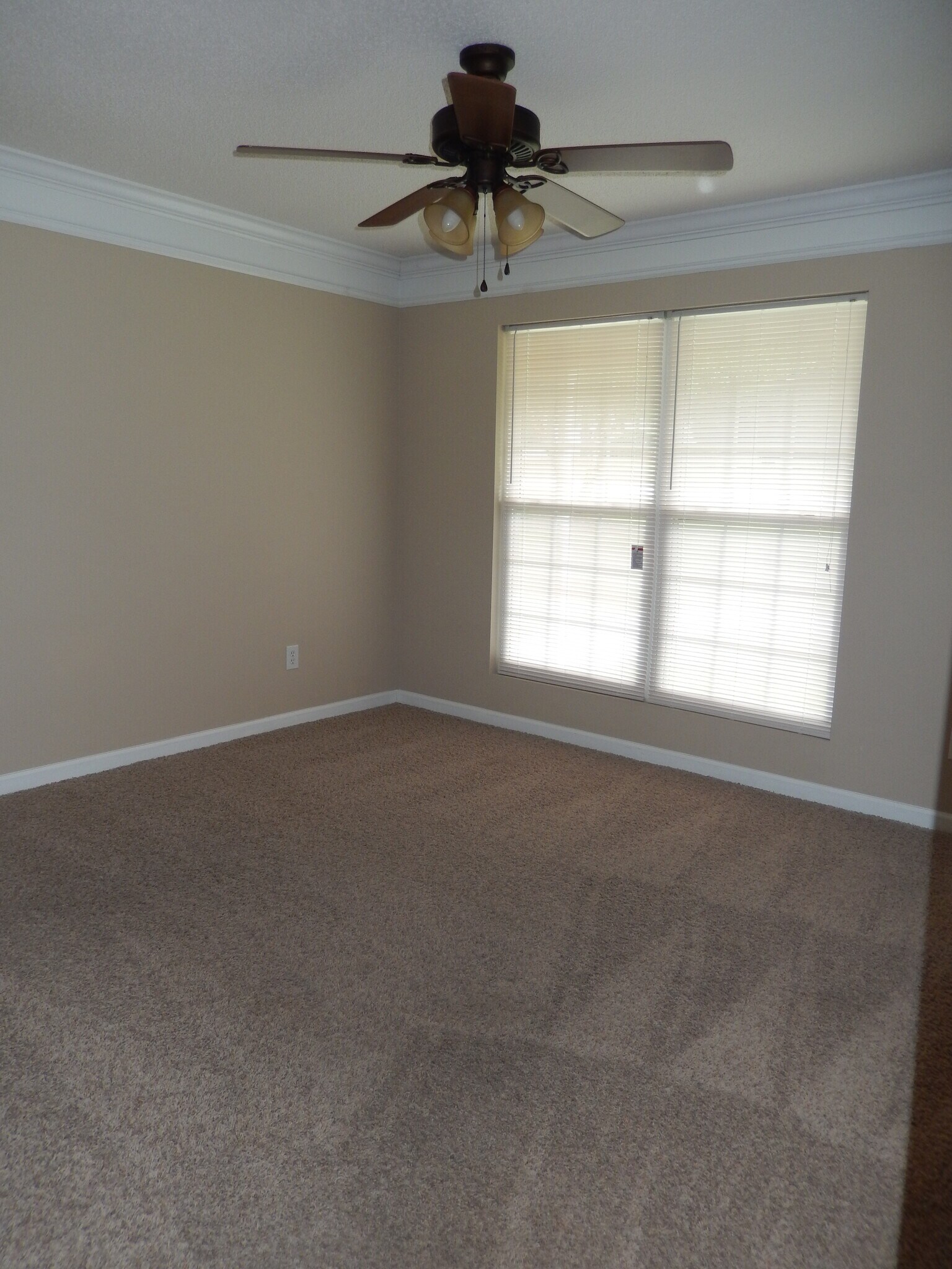 Large Bedroom - 2065 Pinemount Blvd